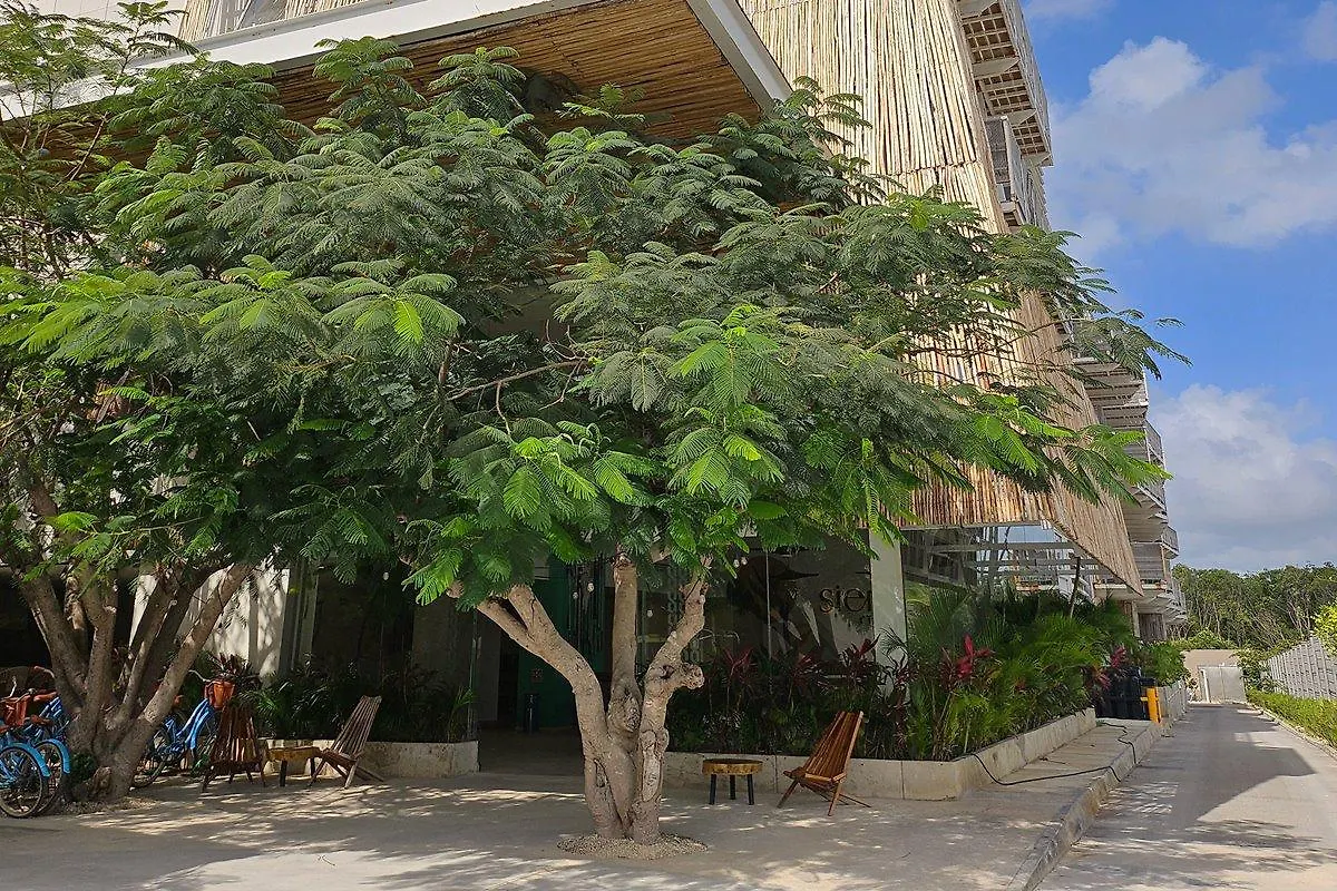 Siente Tulum Hotel Mexico